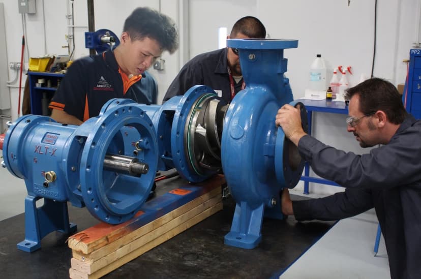 Pump Overhaul